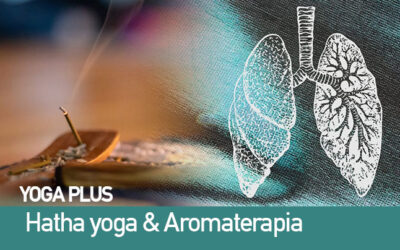 YOGA PLUS |  Hatha Yoga & Aromaterapia