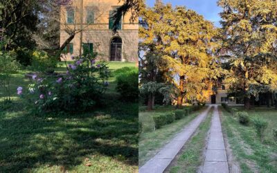 Yoga in Villa – Una serata sotto le stelle
